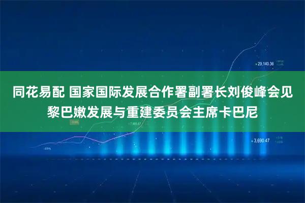 同花易配 国家国际发展合作署副署长刘俊峰会见黎巴嫩发展与重建委员会主席卡巴尼